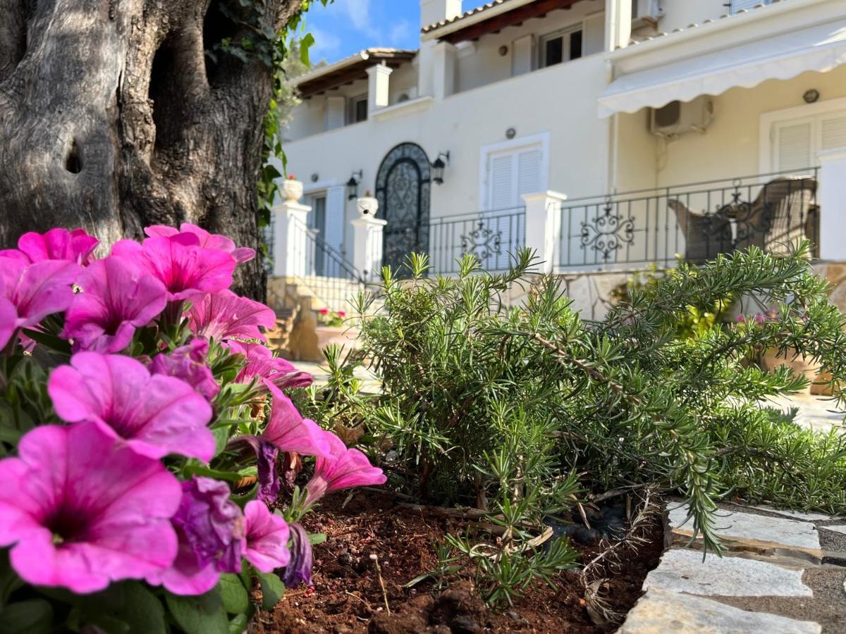 פאלאוקסטריצה Villa Ampelaki "30 Meters To Beach" מראה חיצוני תמונה